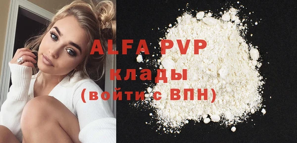 стаф Алексин