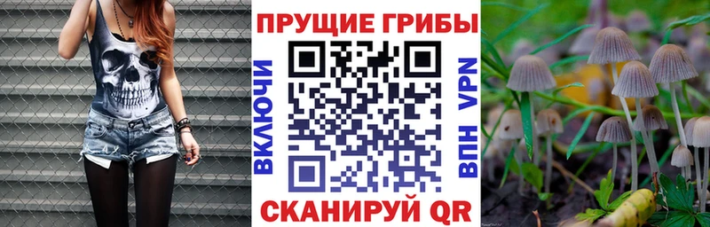 Галлюциногенные грибы Psilocybine cubensis  цены   кракен вход  Благовещенск 