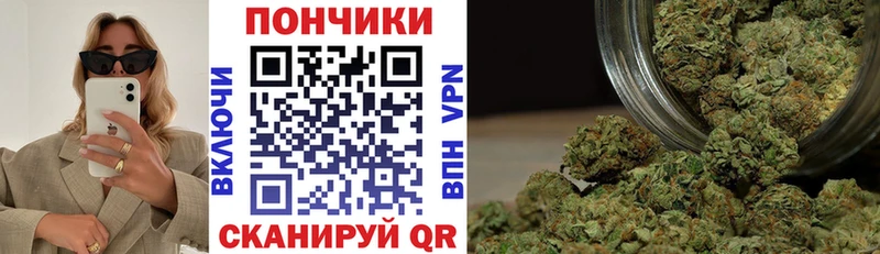 Каннабис планчик  Благовещенск 